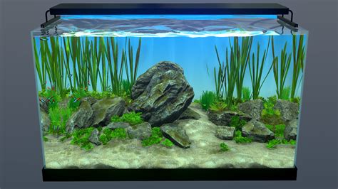 Behind Glass: Aquarium Simulator on Steam.